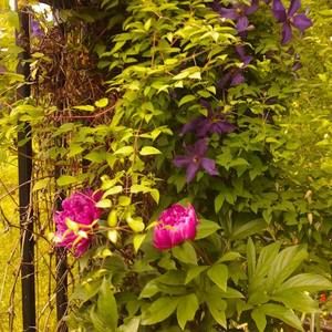 Meet your Posher, Kay